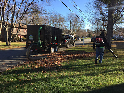 Salem, NH MA Fall Cleanup