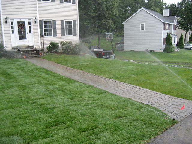 irrigation sod install