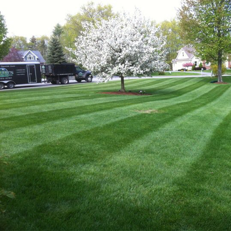 Salem, NH Lawn Maintenance Mowing, Hydroseeding, Sod installation, Fertilization, Fall/Spring Clean Ups